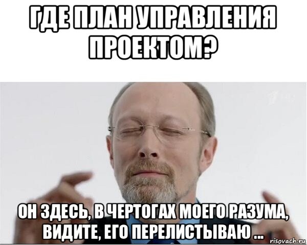 Мем Где план управления проектом? Он здесь, в чертогах моего разума, видите я его перилистываю.