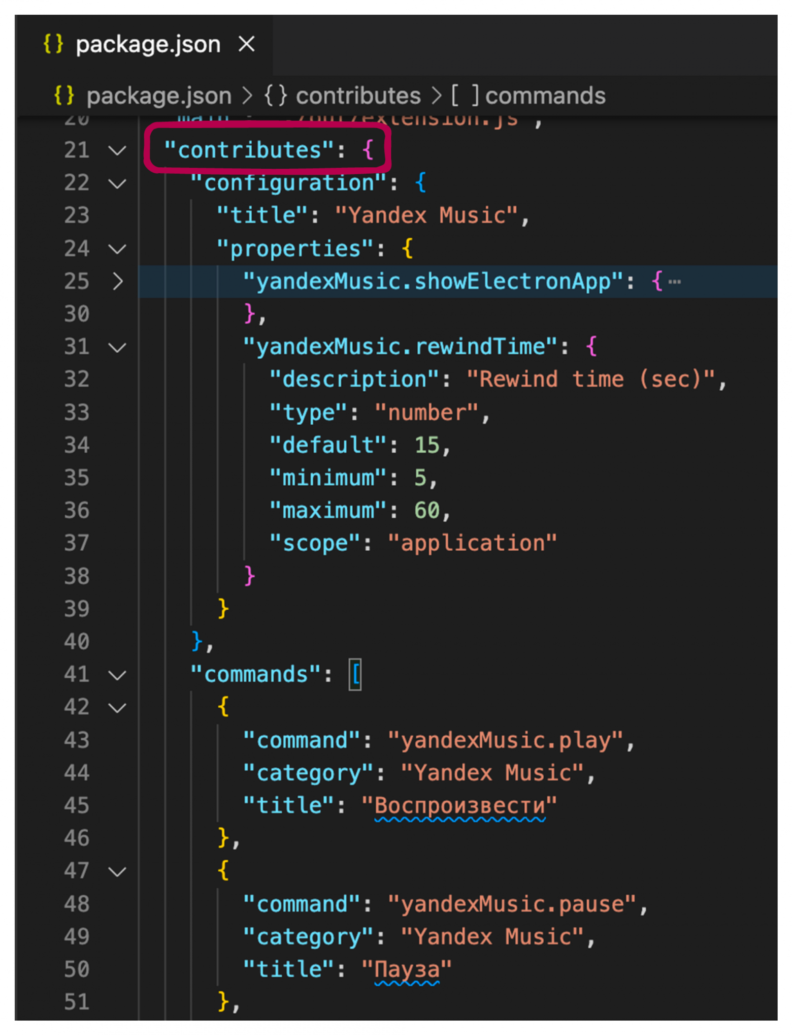 Contribution points в package.json